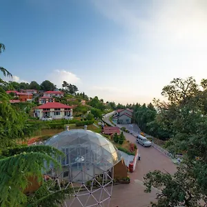 mint-tarika-resort.shimlahotels.net/